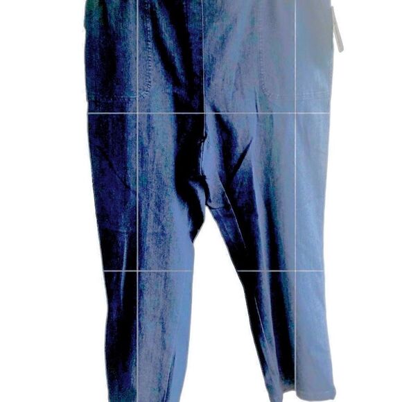 NWT Allison Daley Plus Women’s Blue Denim Pants 4 Pockets Comfy Elastic Waist - Picture 3 of 3